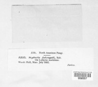 Image Associated With the Occurence